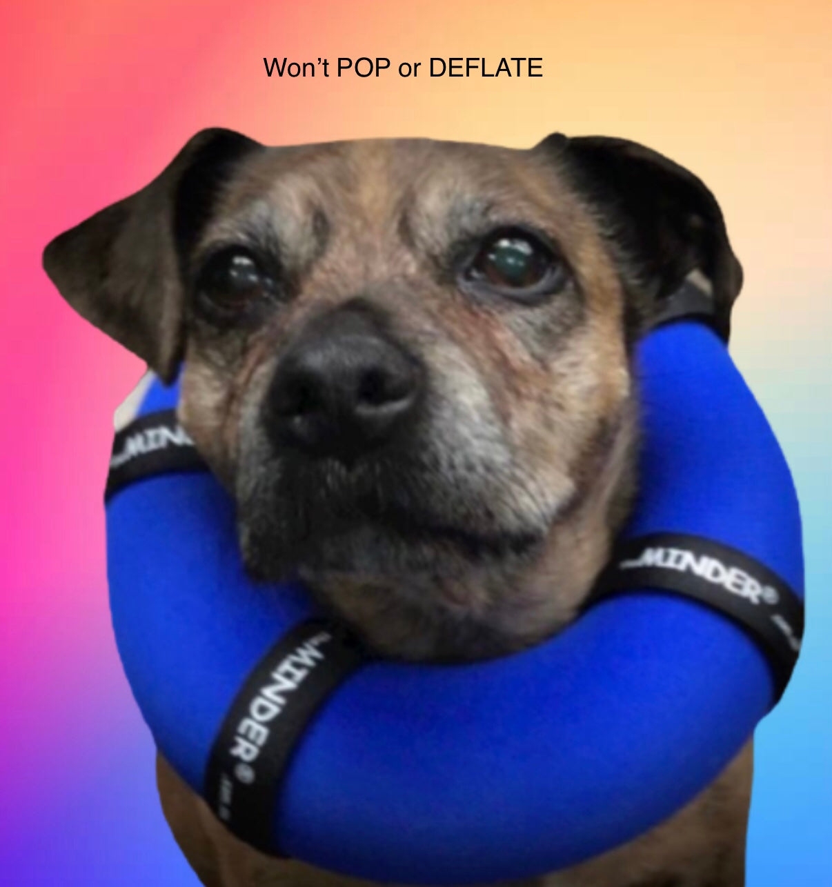 theMINDER Pet Recovery Collar, NEW, every pet’s choice,